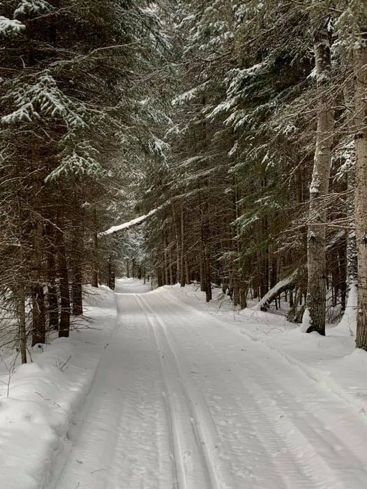 Nordic Trip Extended to Prince Albert National Park
