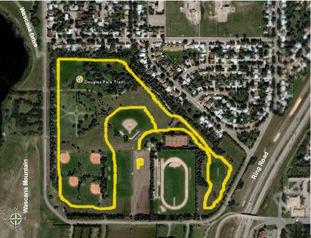 Douglas Park Regina Houses For Sale at Donald Farrar blog